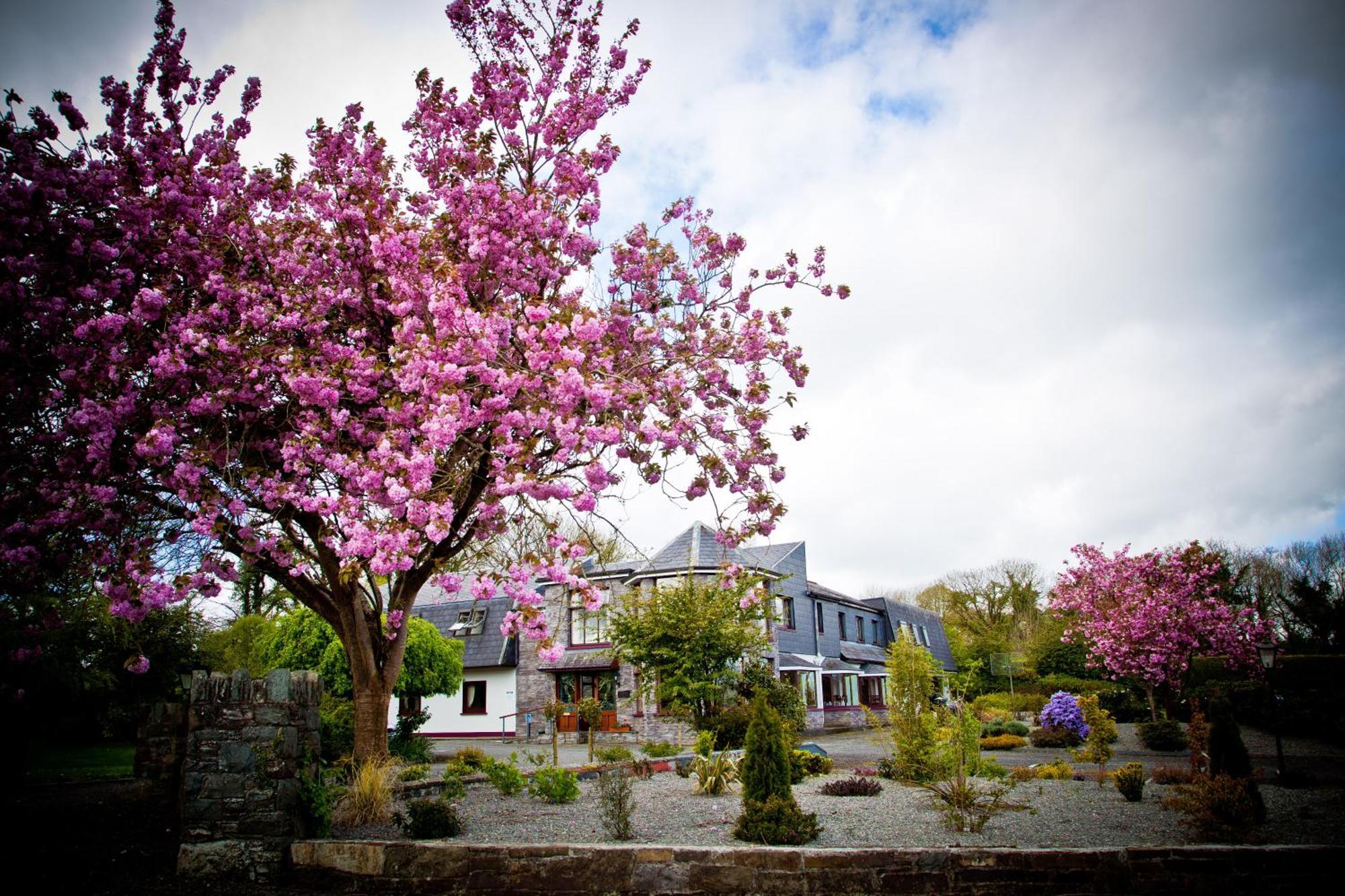 Kathleens Country House Lower Coolcorcoran Εξωτερικό φωτογραφία