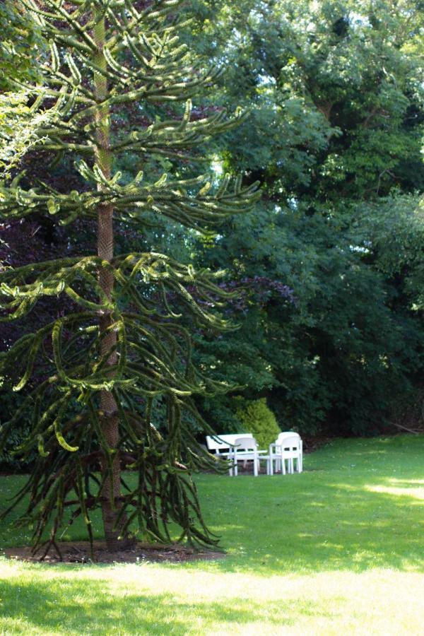 Kathleens Country House Lower Coolcorcoran Εξωτερικό φωτογραφία